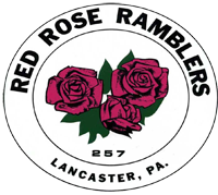 Red Rose Ramblers - Chapter 257